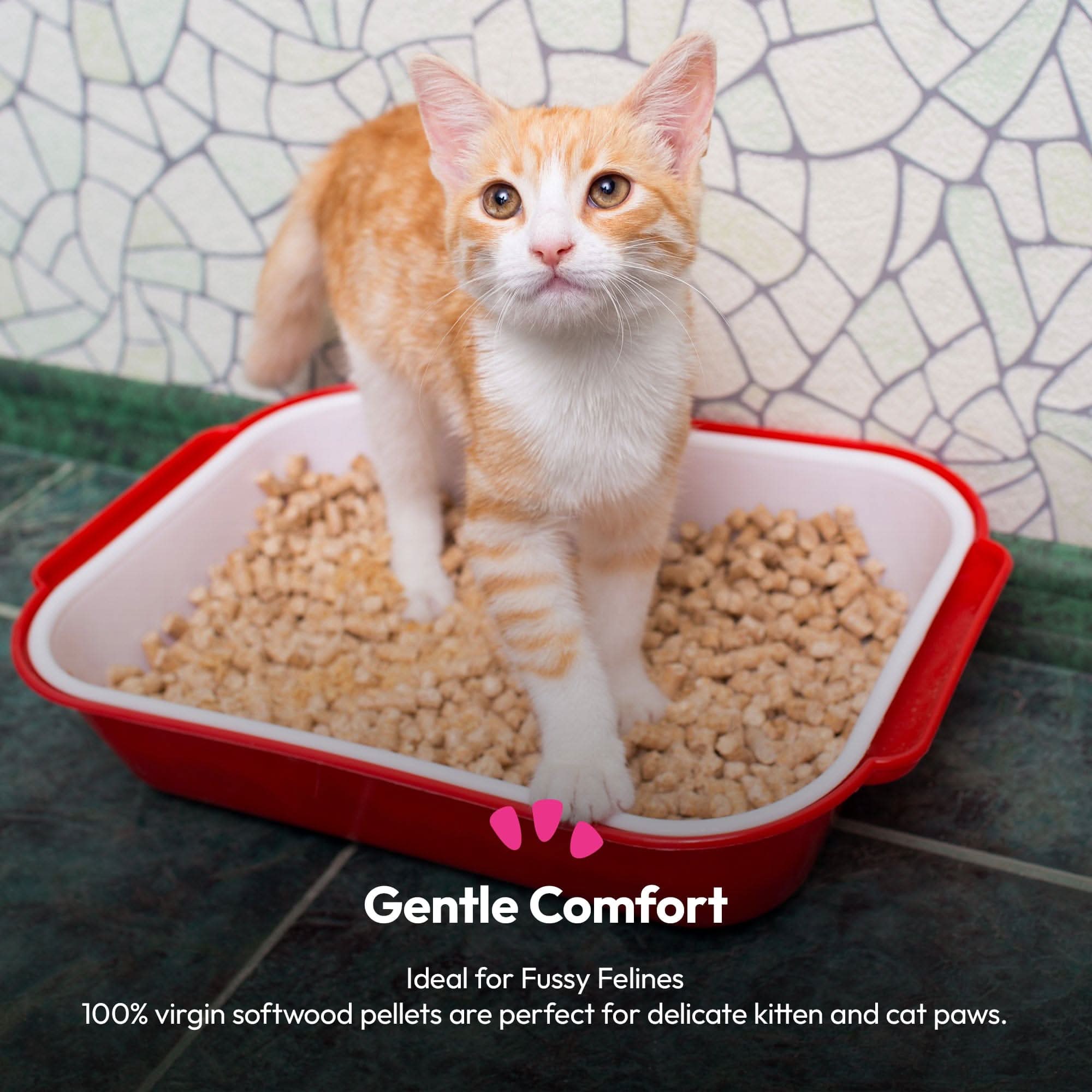 30L Cat Litter - Wood Pellet Based, Ultra-Absorbent, Non-Clumping, No Chemicals - Image 3