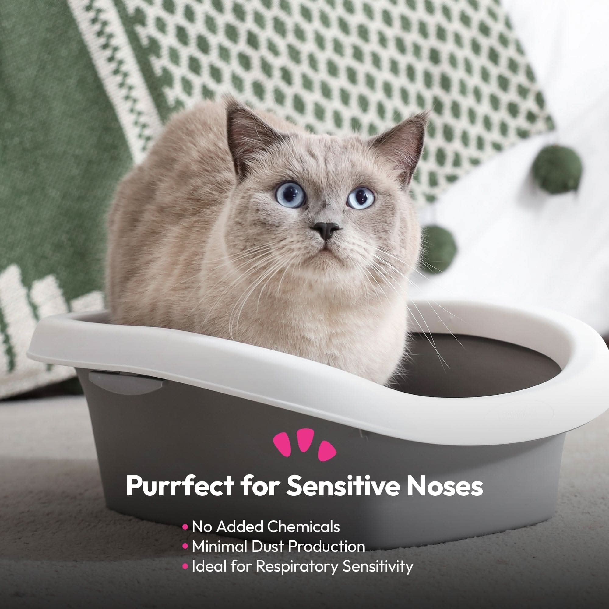 30L Cat Litter - Wood Pellet Based, Ultra-Absorbent, Non-Clumping, No Chemicals - Image 5