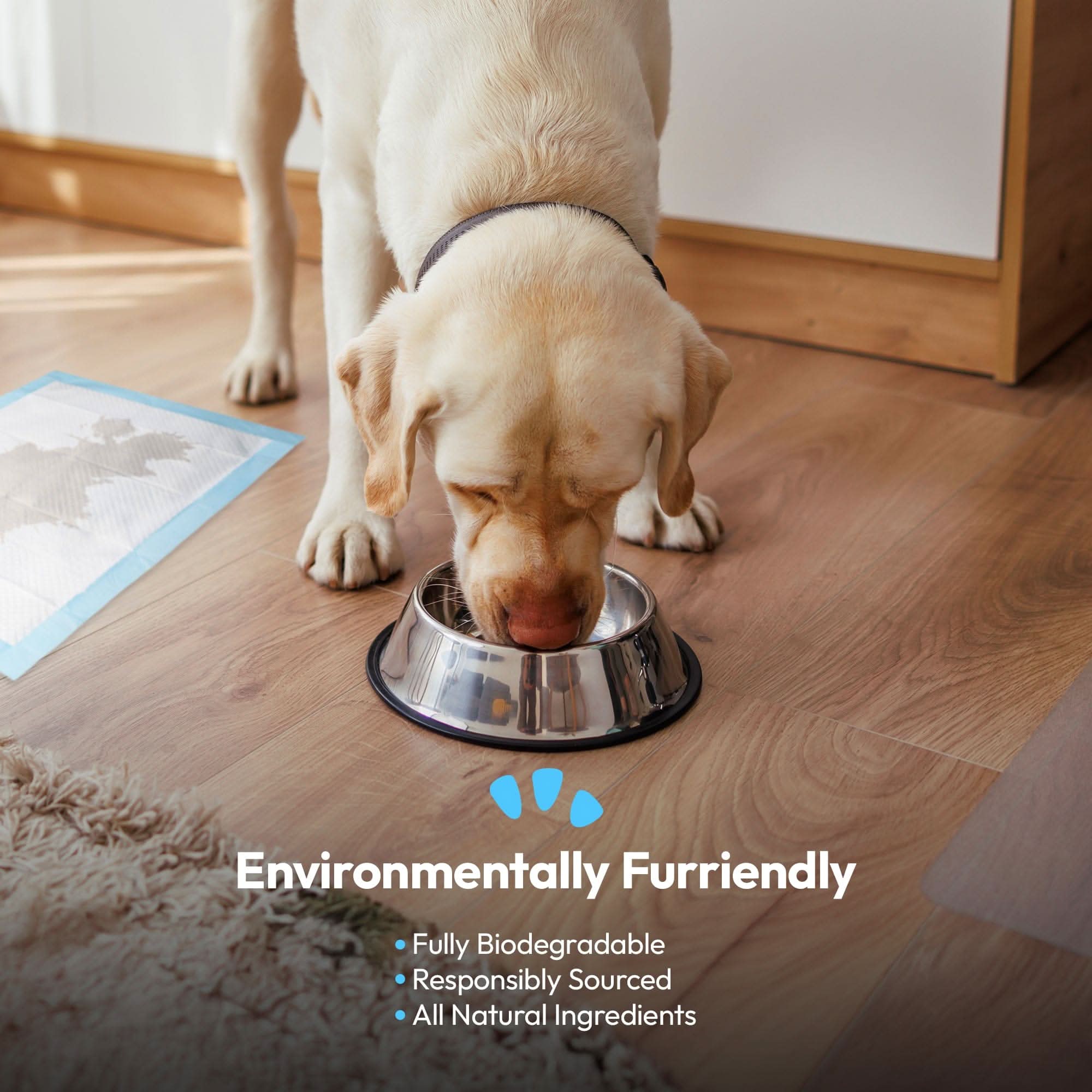 30L Cat Litter - Wood Pellet Based, Ultra-Absorbent, Non-Clumping, No Chemicals - Image 6