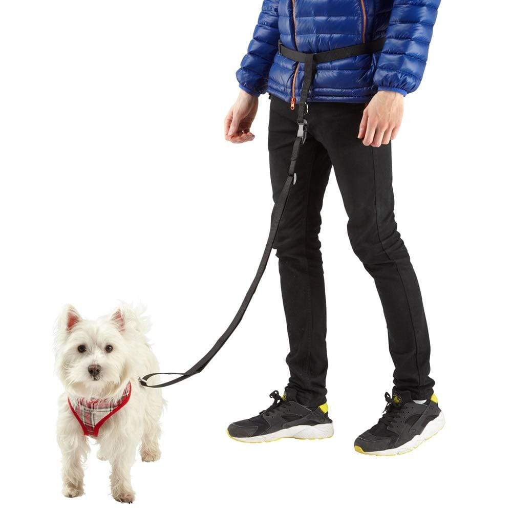 Hands Free Dog Lead & Leash for Running, Adjustable Waist Belt - Image 6