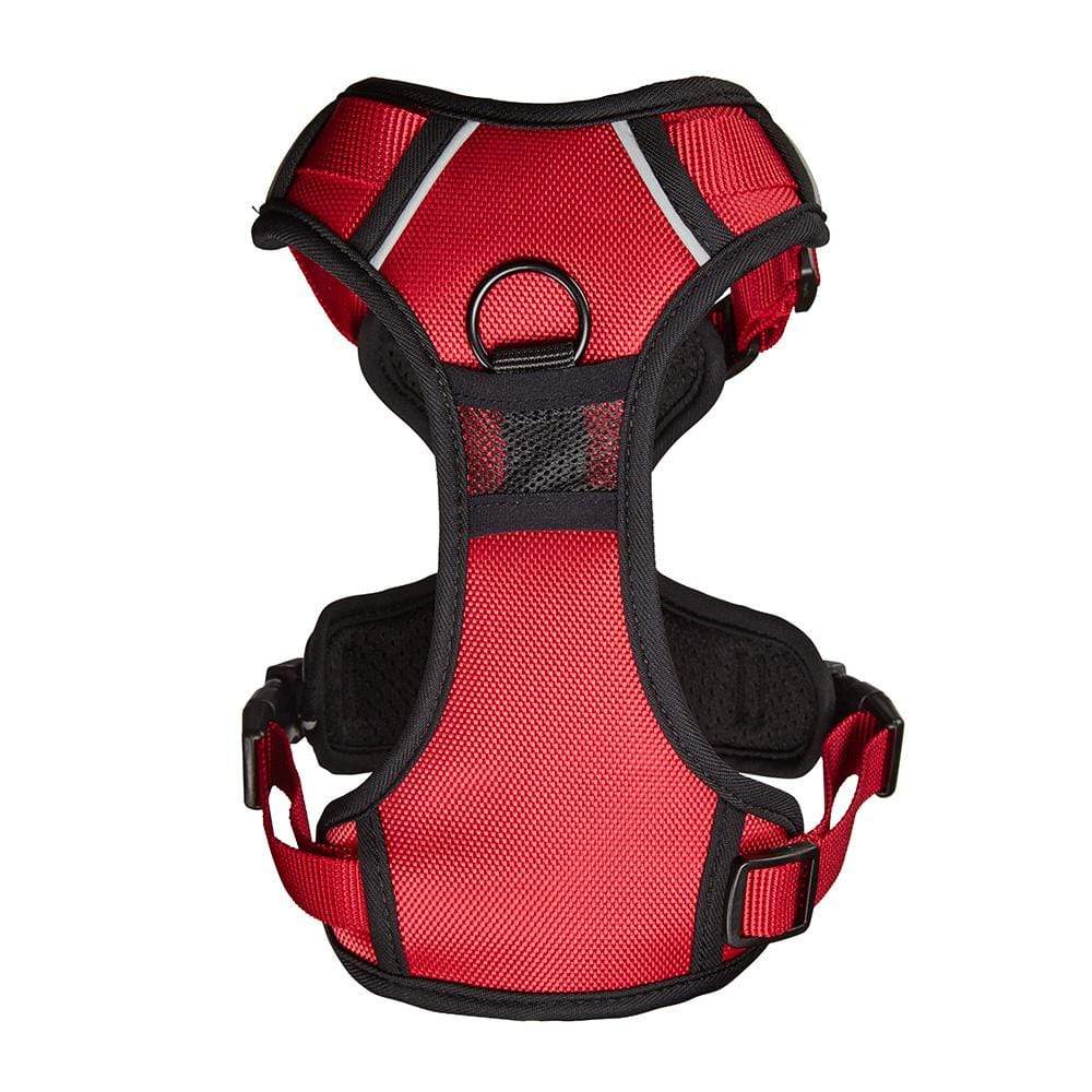 Bunty Adventure Harness - Image 11