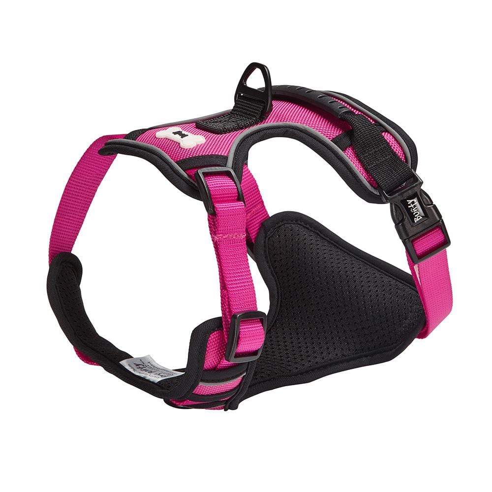 Bunty Adventure Harness - Image 21
