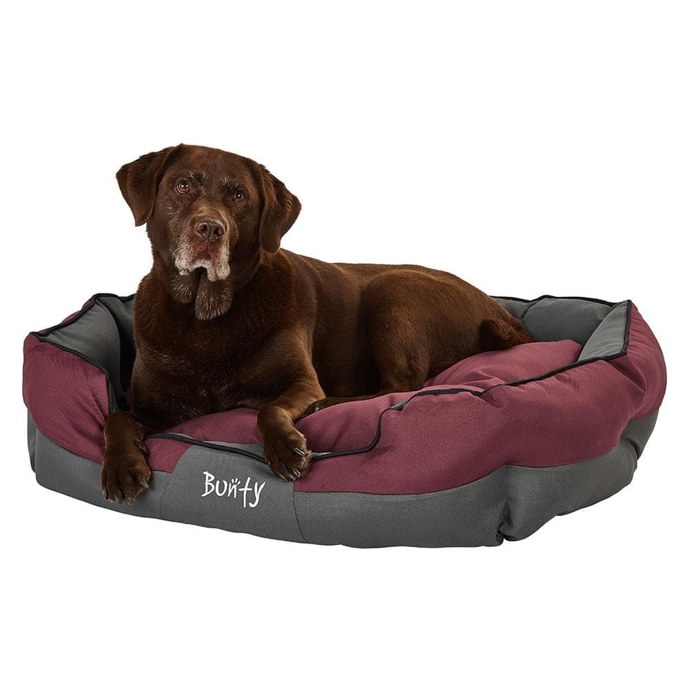 Water resistant Dog Bed, water resistant, washable, small to large sizes - Bunty Anchor - Image 12