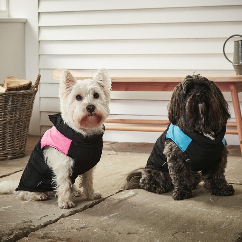Dog Puffer Jacket - Bunty - Image 13