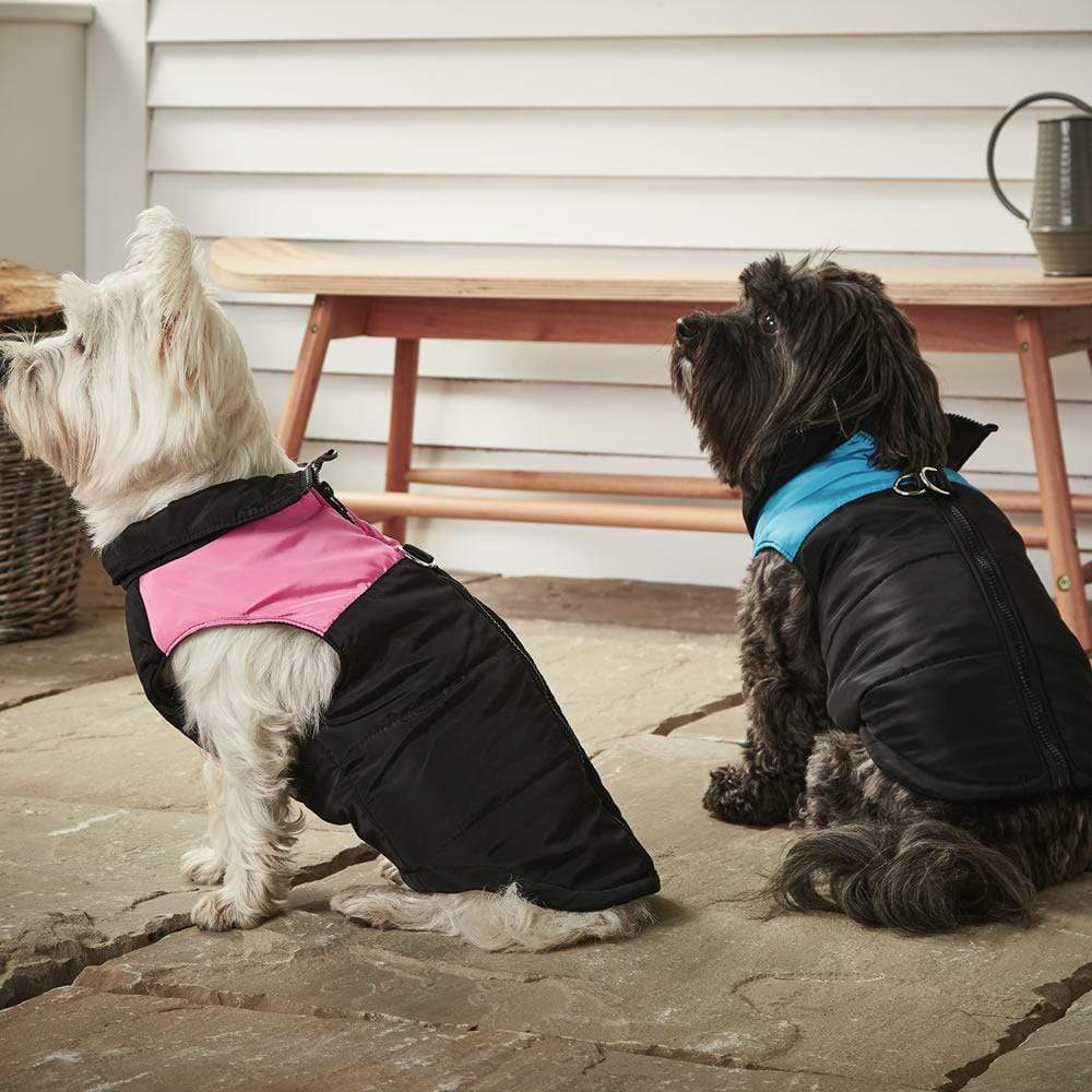 Dog Puffer Jacket - Bunty - Image 8