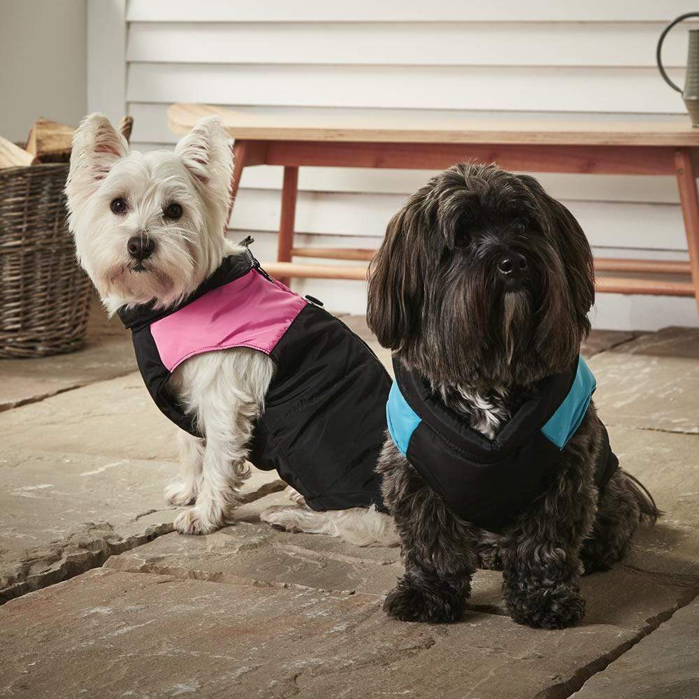 Dog Puffer Jacket - Bunty - Image 9