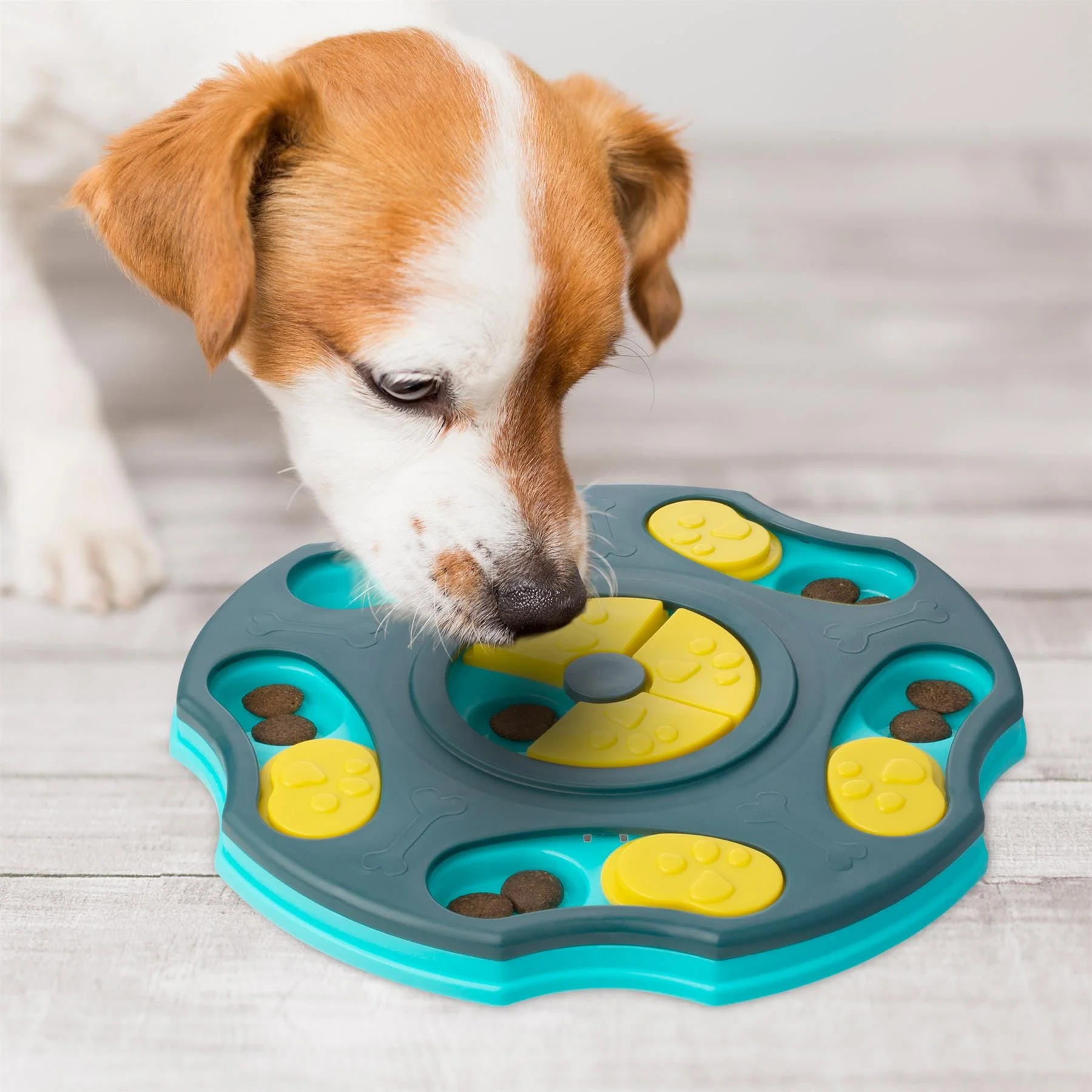 Bunty Dog Puzzle Toy - Image 5