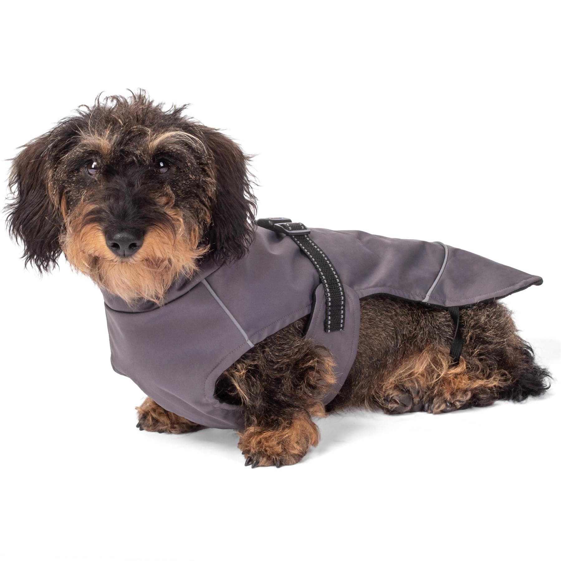 Bunty DownPaw Jacket - Image 11