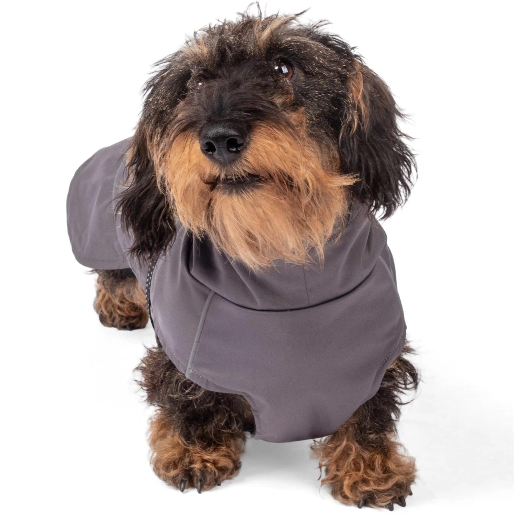 Bunty DownPaw Jacket - Image 12