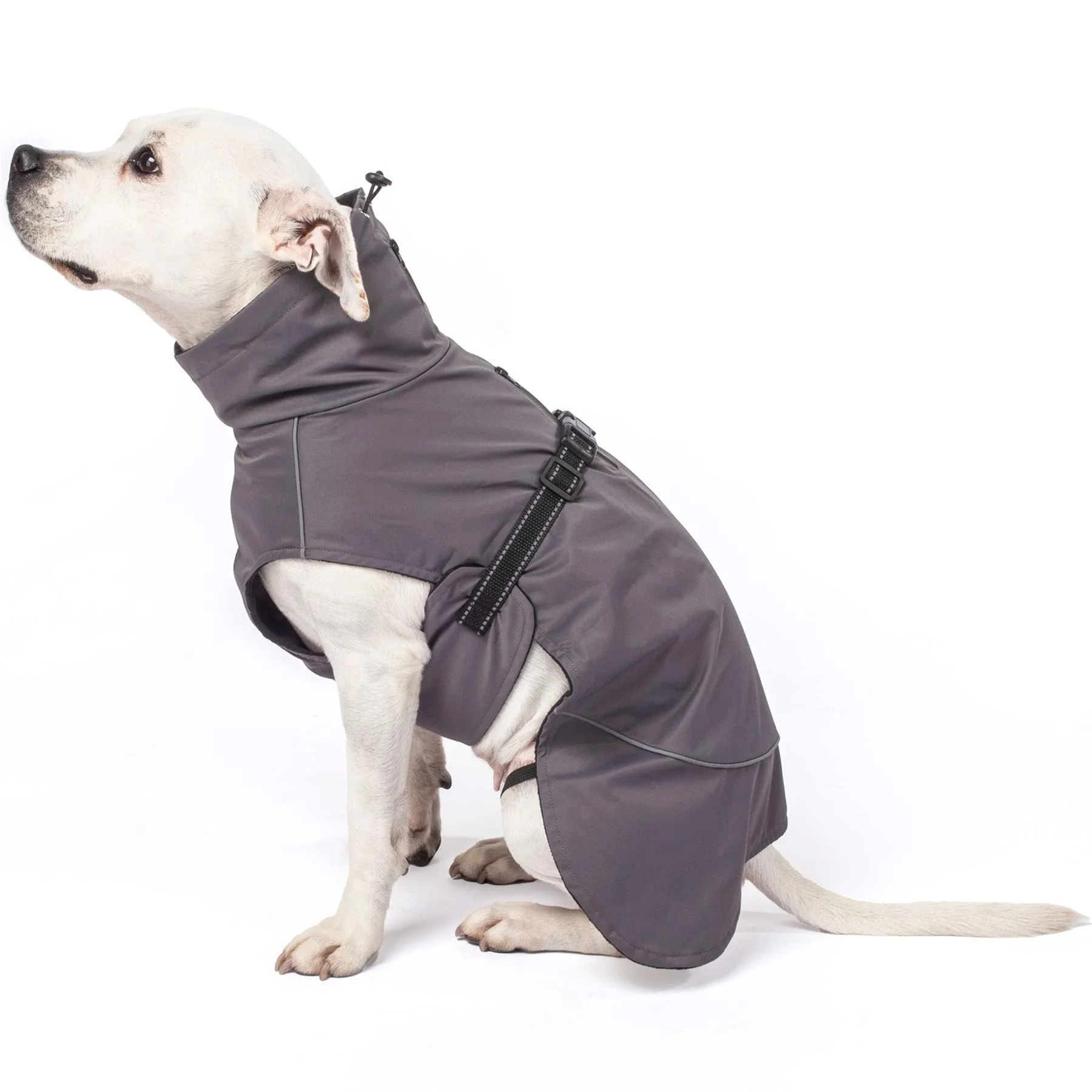 Bunty DownPaw Jacket - Image 16