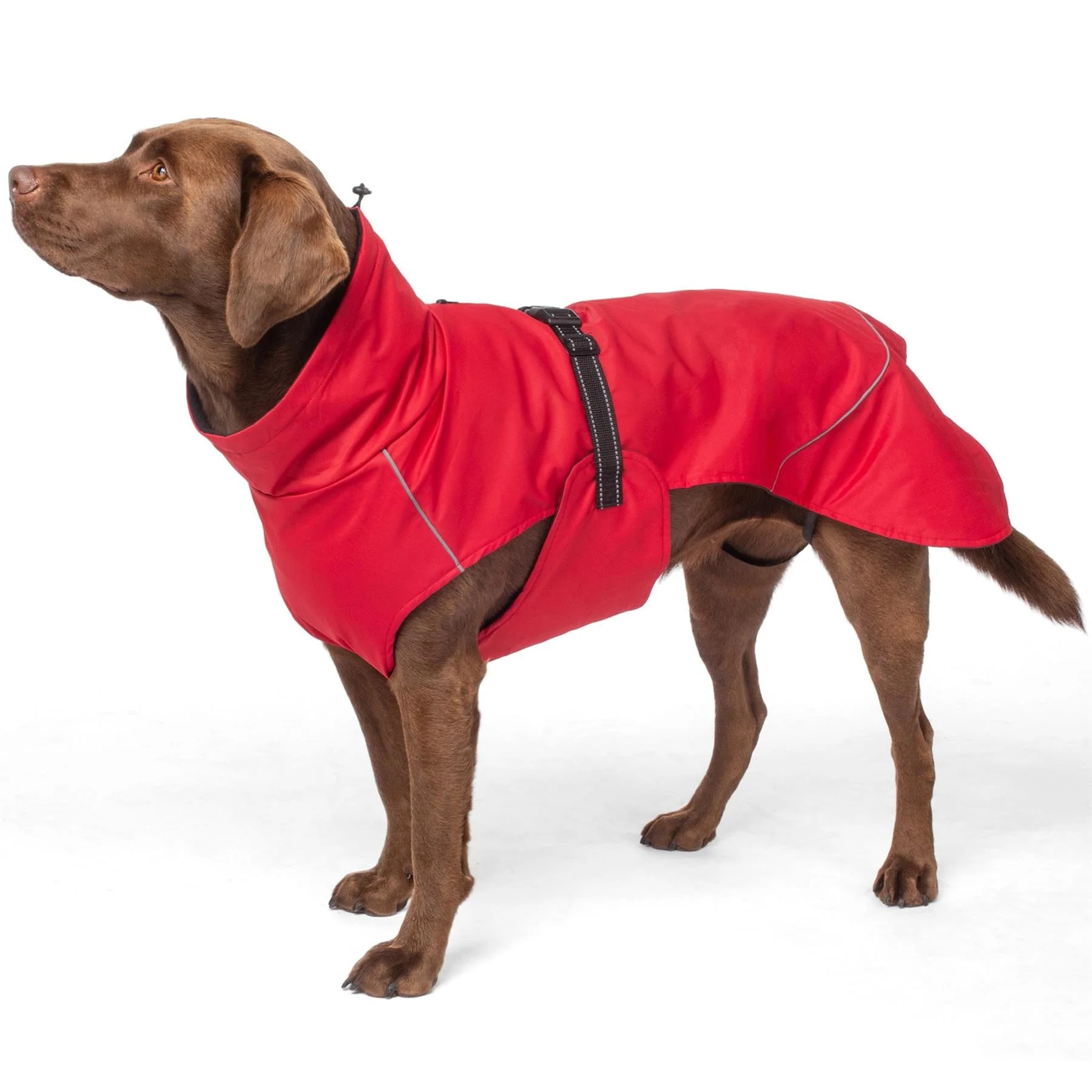 Bunty DownPaw Jacket - Image 17