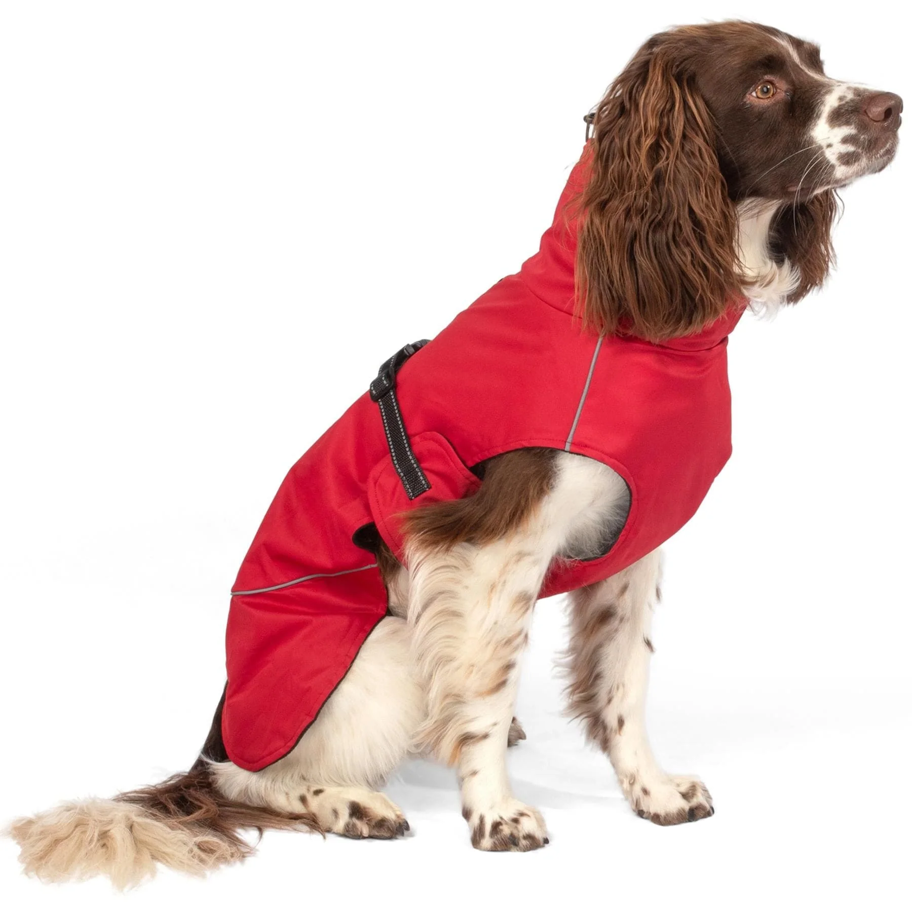 Bunty DownPaw Jacket - Image 21