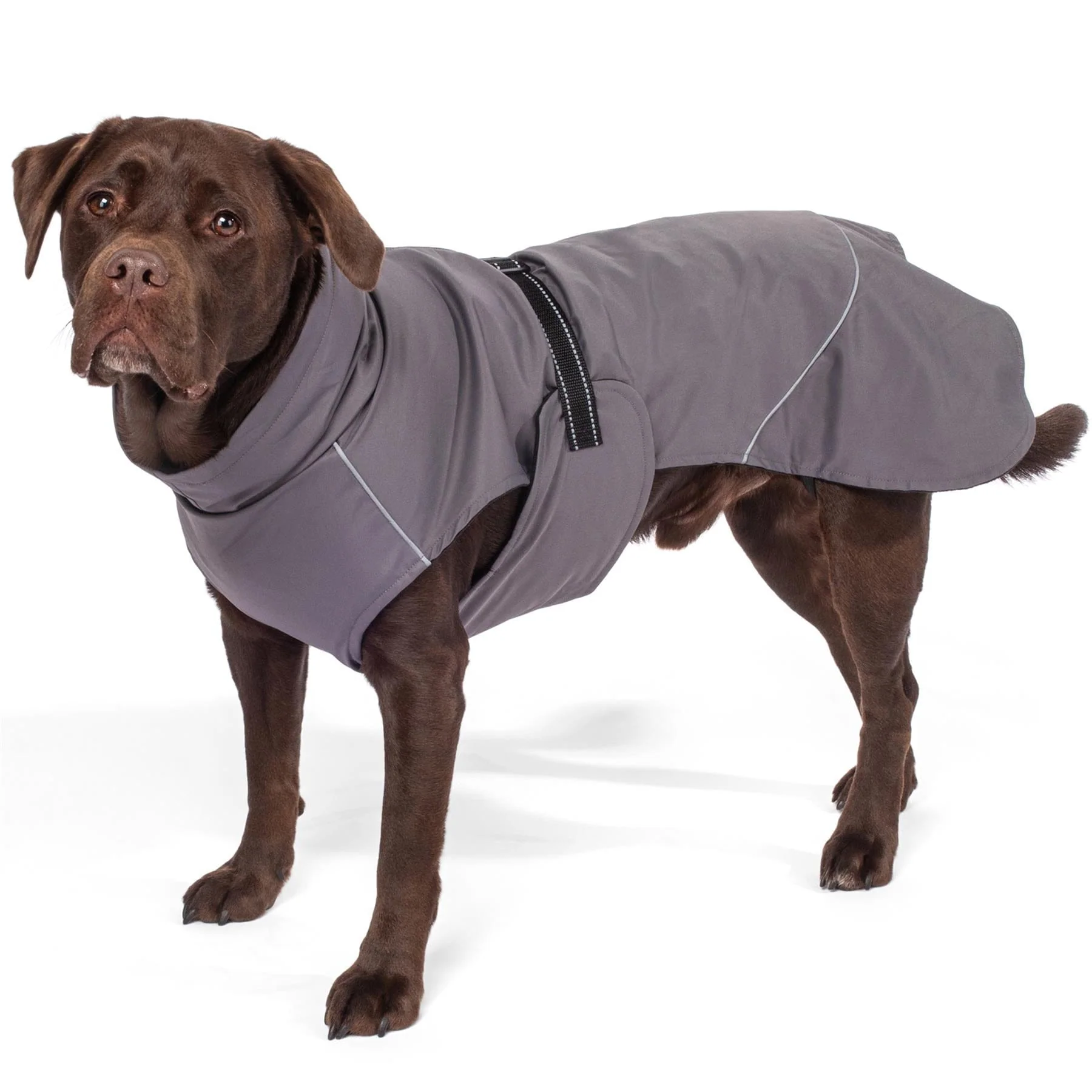 Bunty DownPaw Jacket - Image 23