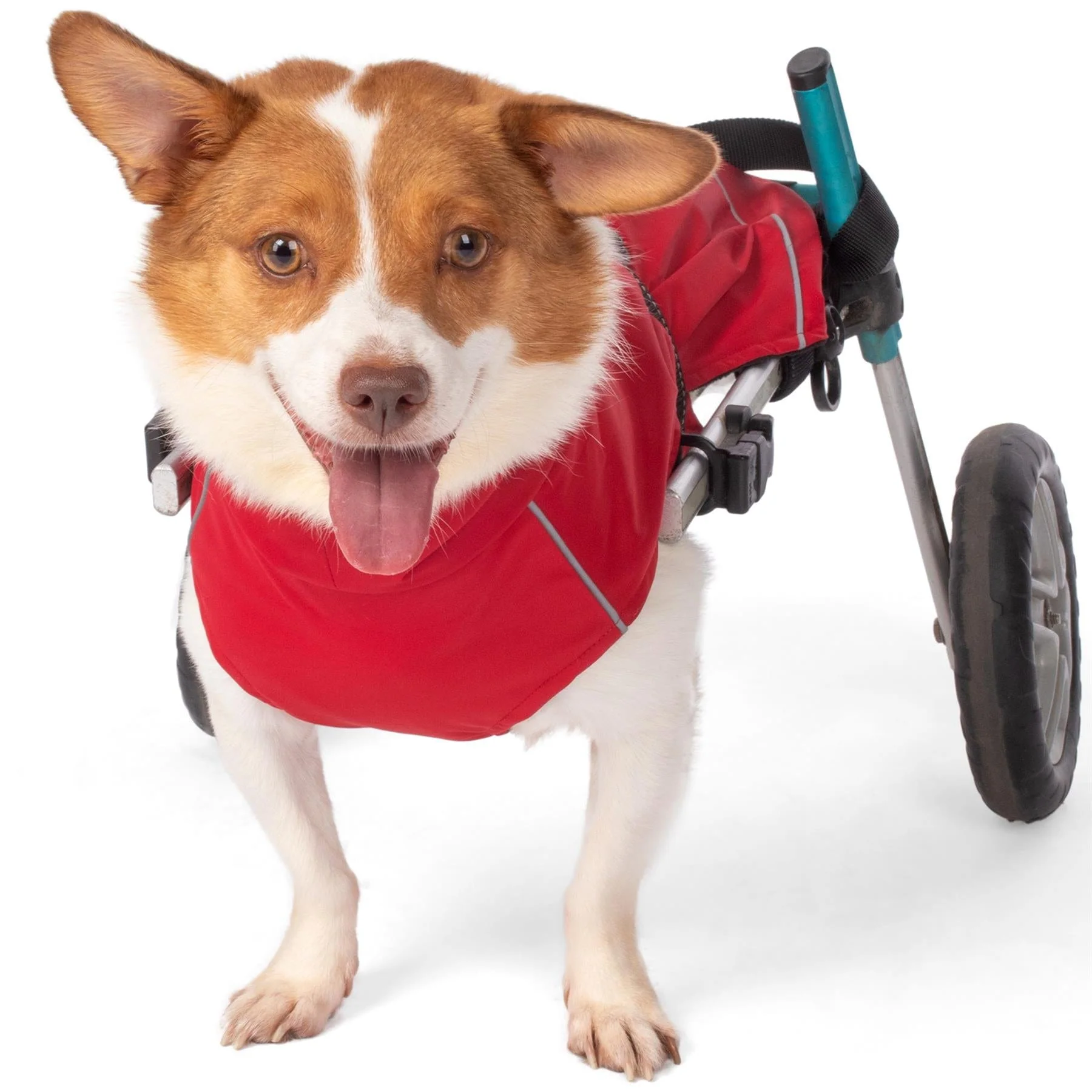 Bunty DownPaw Jacket - Image 37
