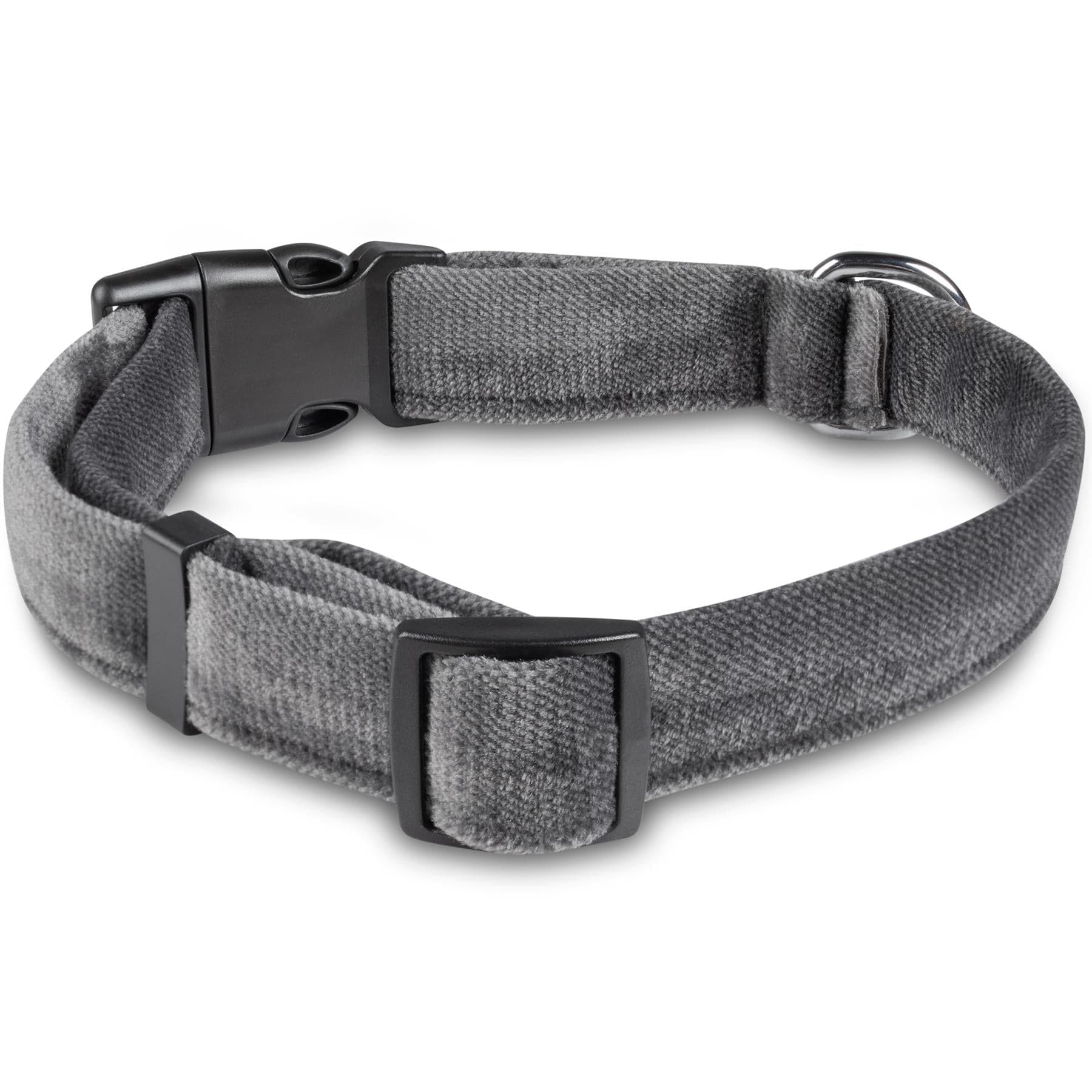 Bunty Fabric Dog Collar - Image 9