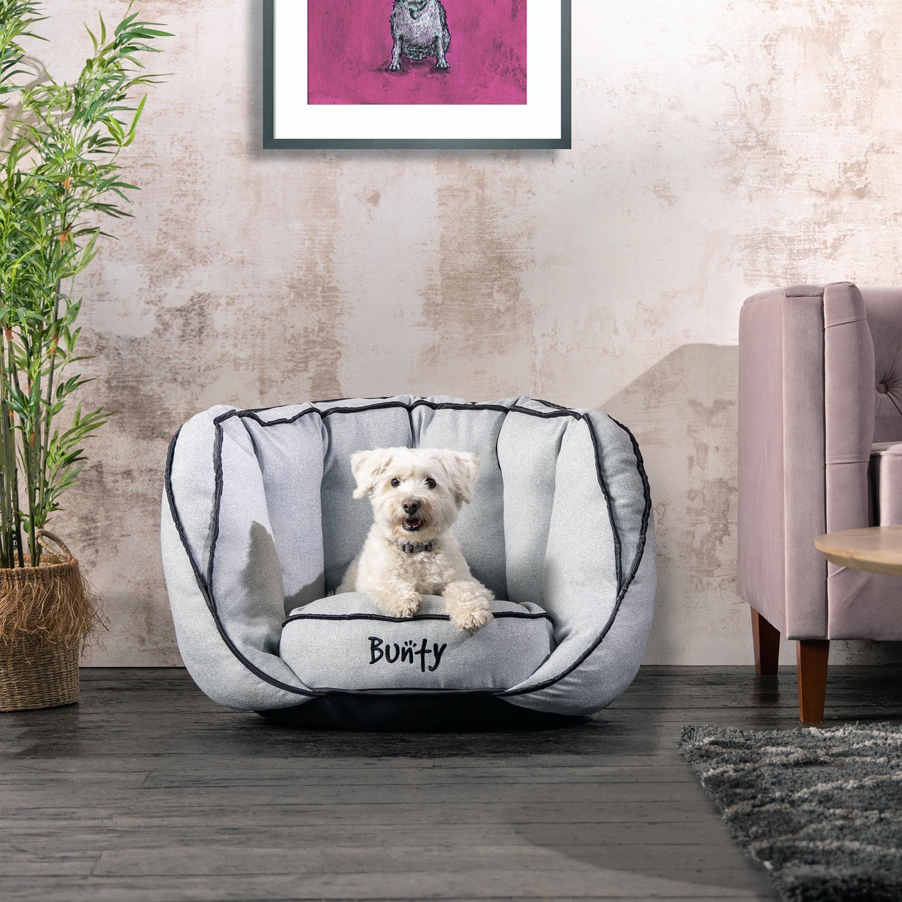 Bunty Oyster Bed - Image 2