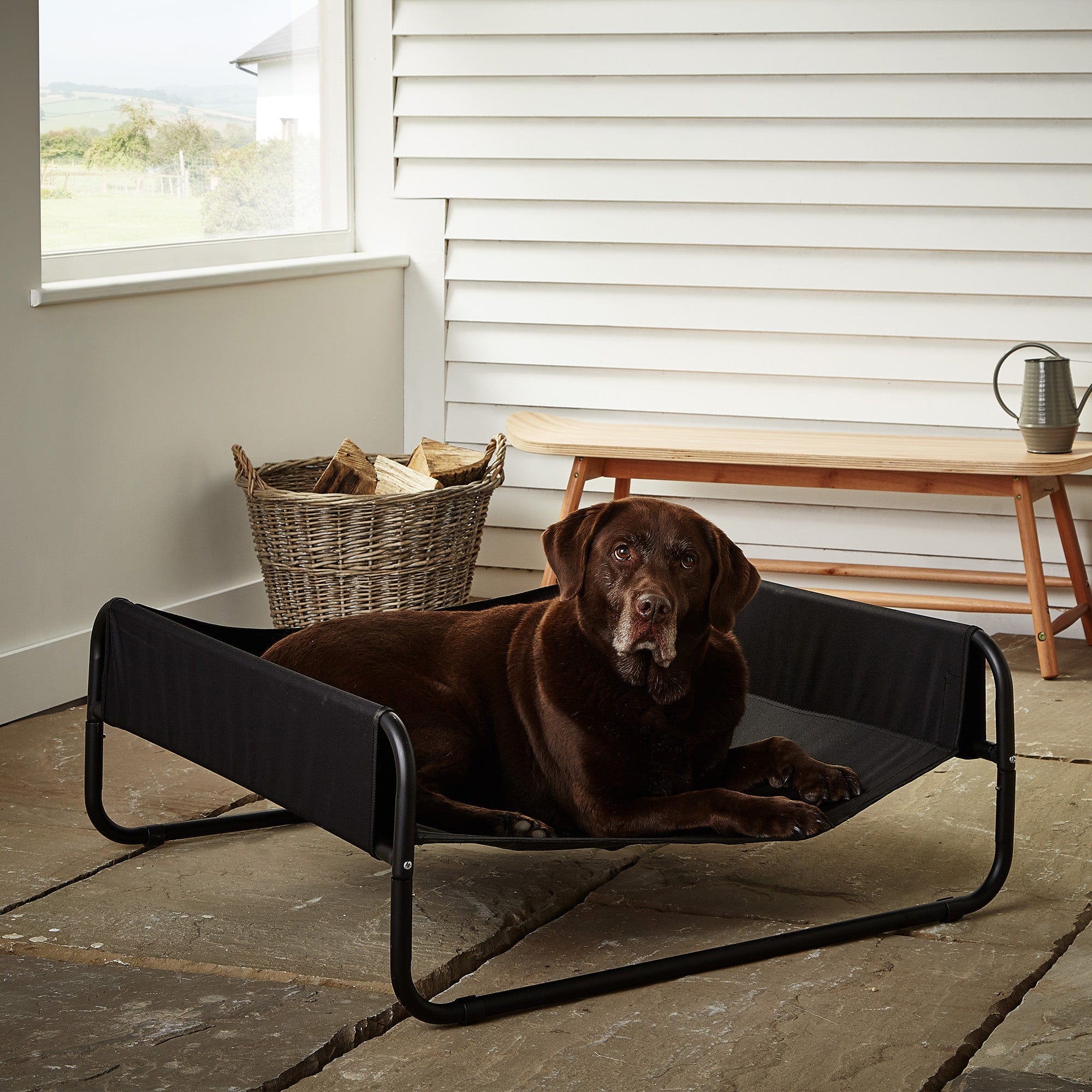 Raised Dog Bed With Sides, Elevated Waterproof Outdoor - Bunty - Image 3