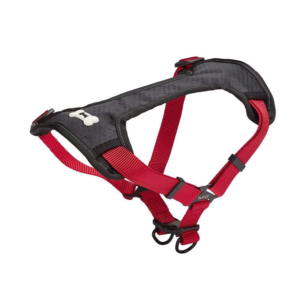 Dog Harness - Bunty Strap 'N' Stroll - Image 20