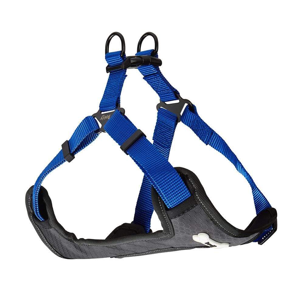 Dog Harness - Bunty Strap 'N' Stroll - Image 5