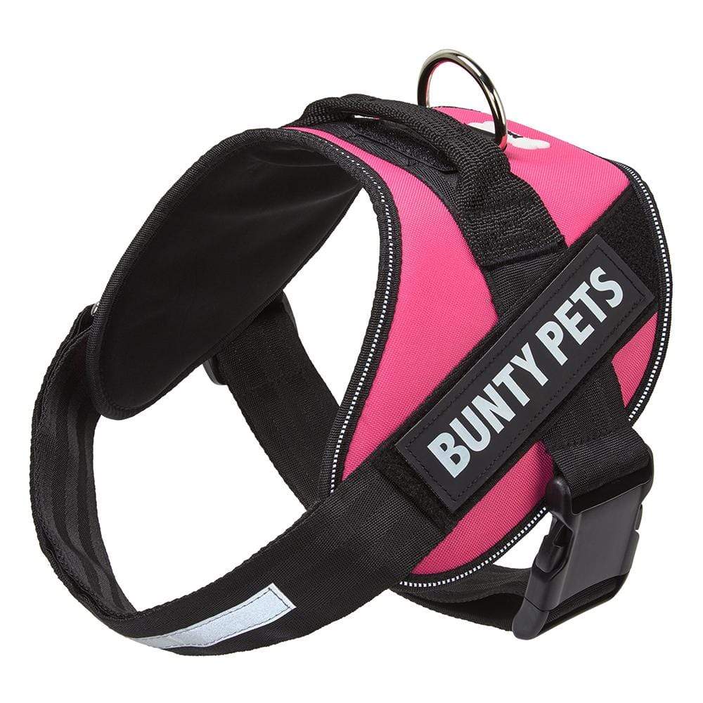 Dog Body Harness - Bunty Yukon Harness - Image 12