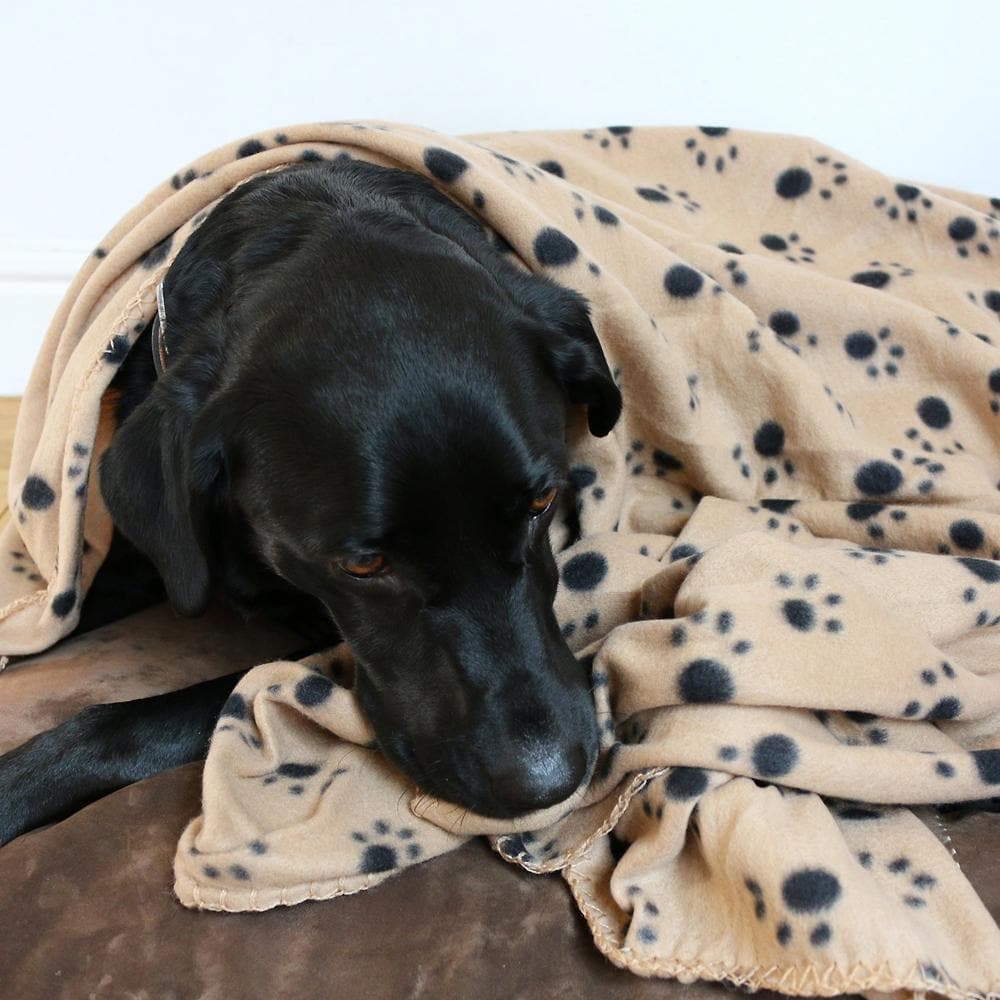 Extra Large Soft Cosy Warm Fleece Pet Dog Cat Animal Blanket - Image 3