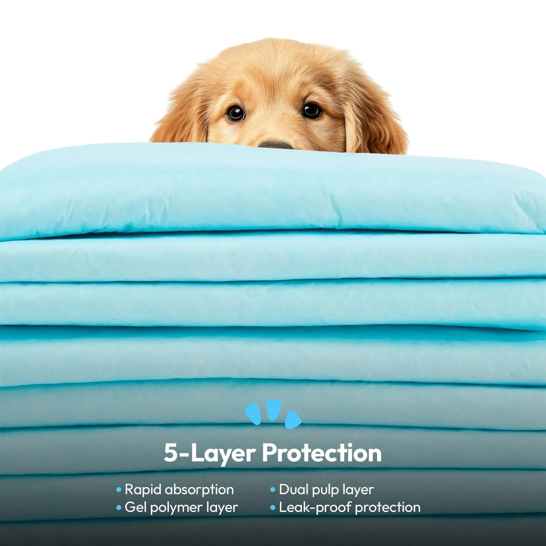 Pet Training Pads - Image 4