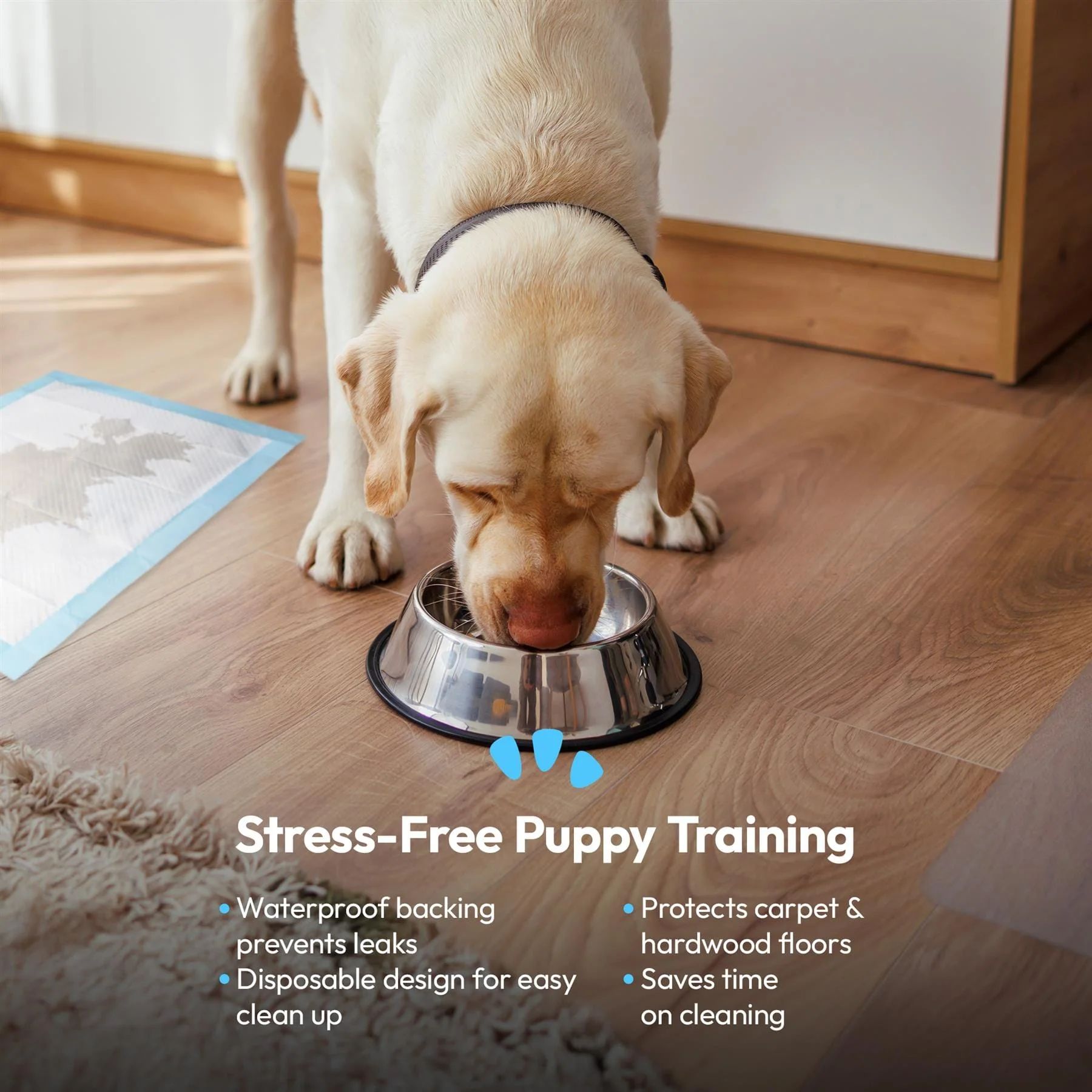 Pet Training Pads - Image 5