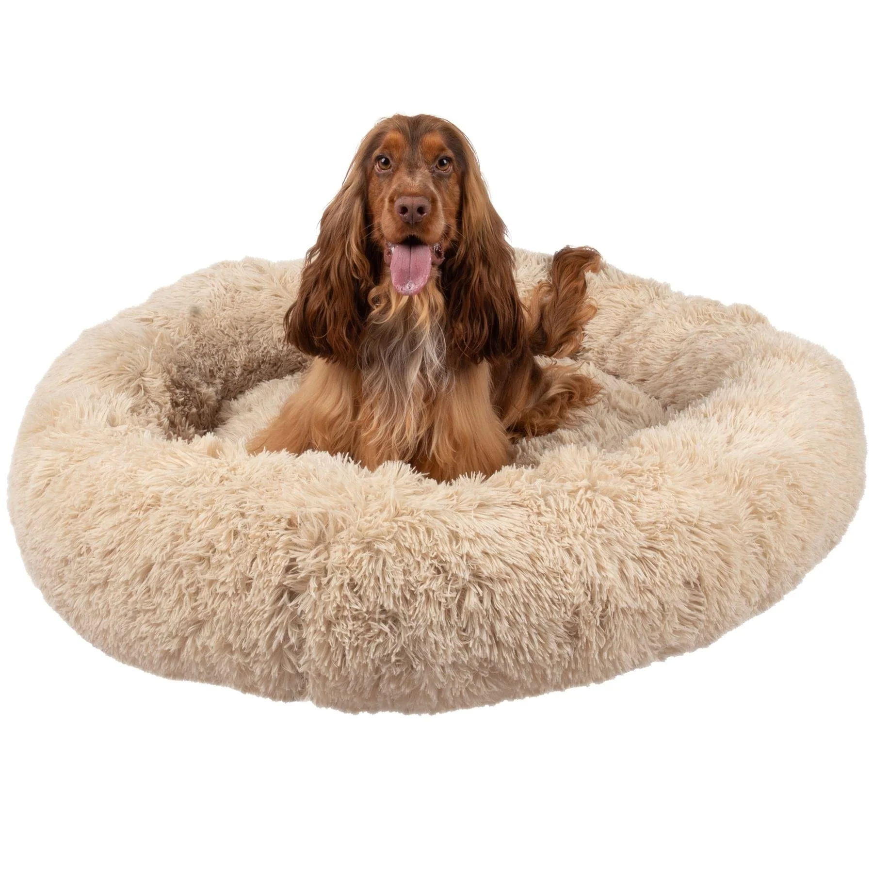 Seventh Heaven Bed - Image 3